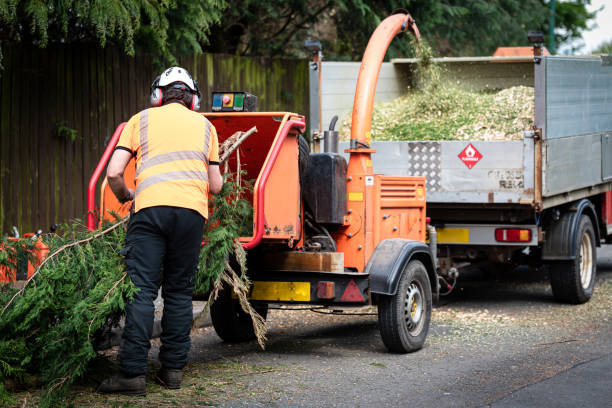  Lima, PA Tree Care Services Pros